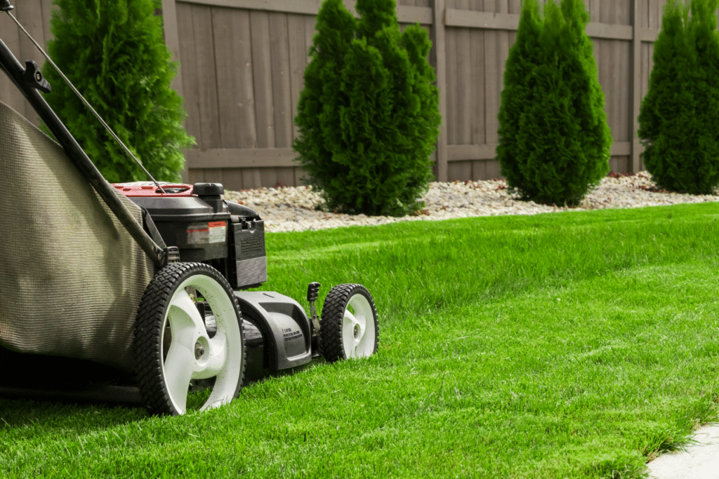 Spring Home Maintenance